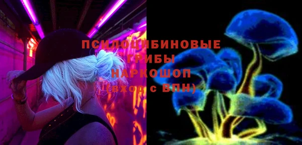 эйфоретик Михайловск