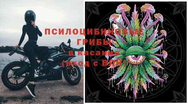 эйфоретик Михайловск