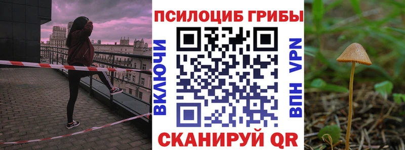 Купить  Устюжна  Псилоцибиновые грибы Magic Shrooms 
