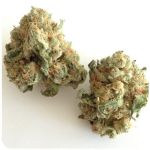 Шишки "White Widow"  (Белая вдова)  Гидропоника -  Бошка VHQ в Устюжне